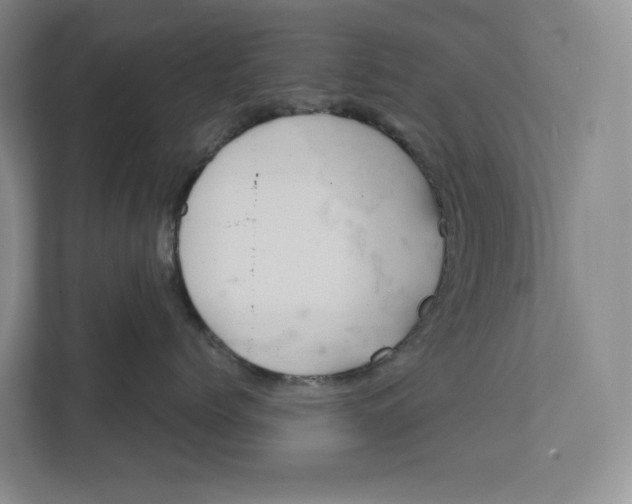 X0000111810768200908201110
