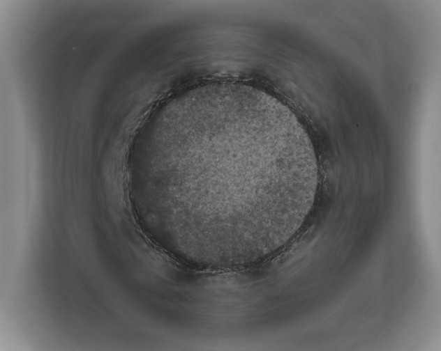 X0000111810769200908201110