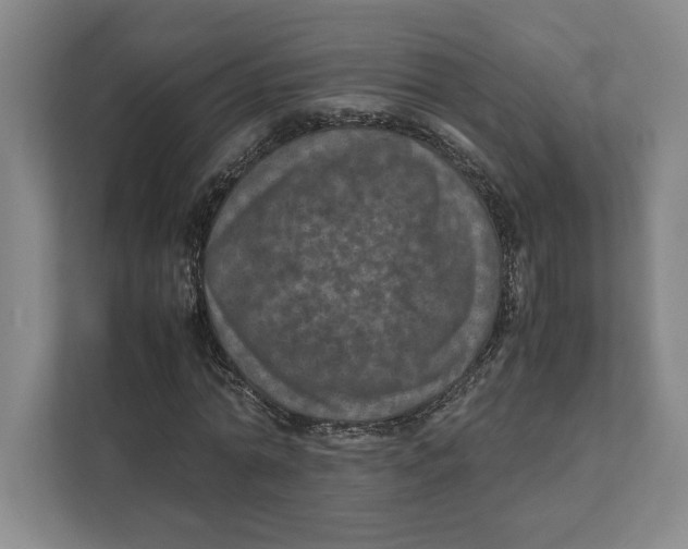 X0000111810774200908201110