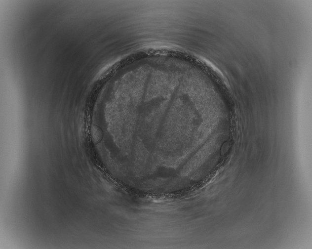 X0000111810775200908201110
