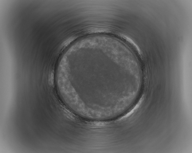 X0000111810777200908201110