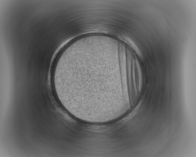 X0000111810780200908201110