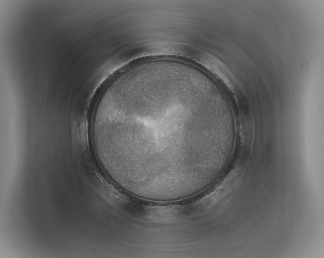 X0000111810781200908201110