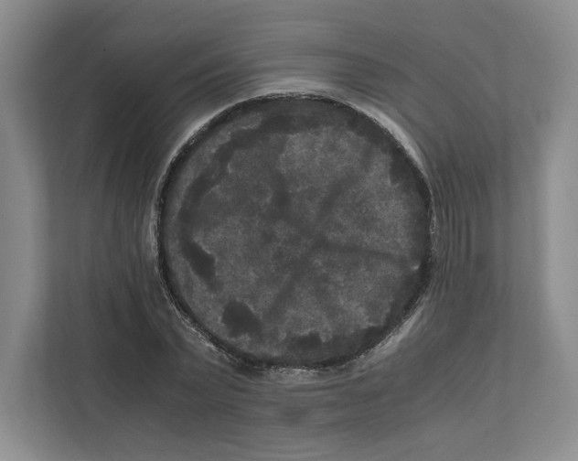 X0000111810783200908201109