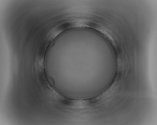 X0000111810785200908201109
