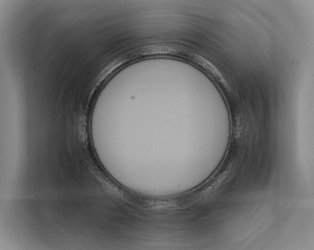 X0000111810786200908201109