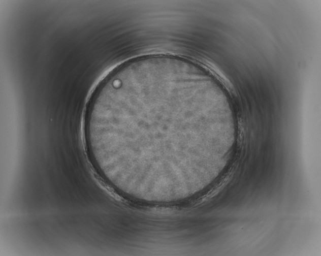 X0000111810788200908201109