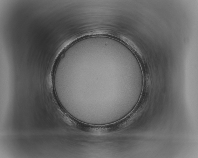 X0000111810789200908201109