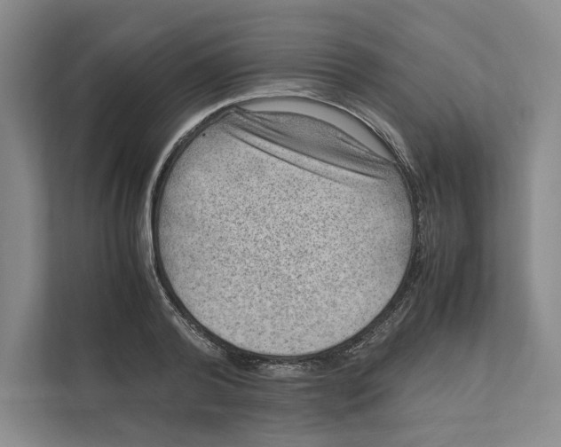 X0000111810792200908201109