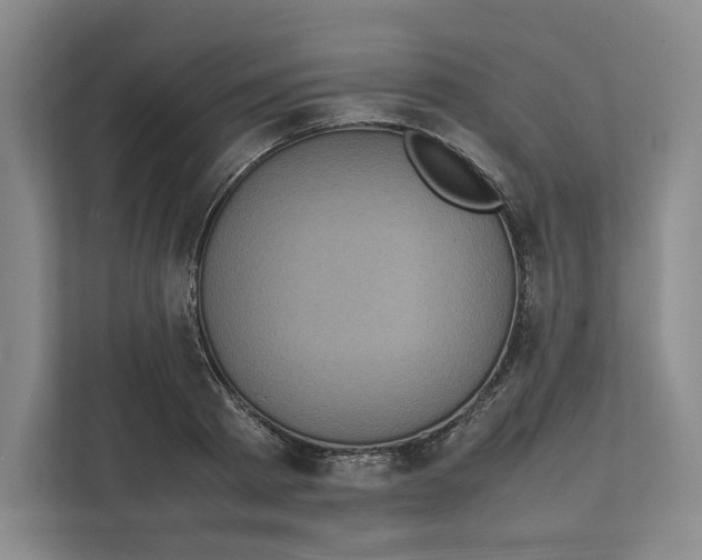 X0000111810793200908201109