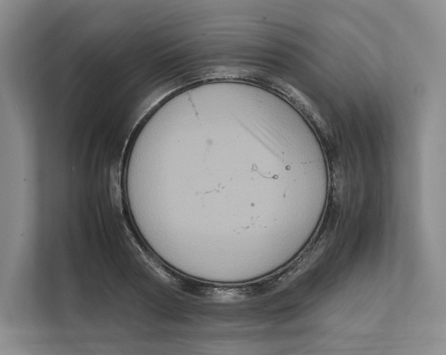 X0000111810794200908201109