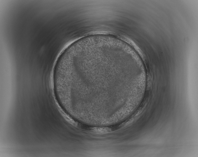 X0000111810795200908201109