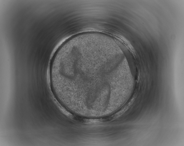 X0000111810796200908201109