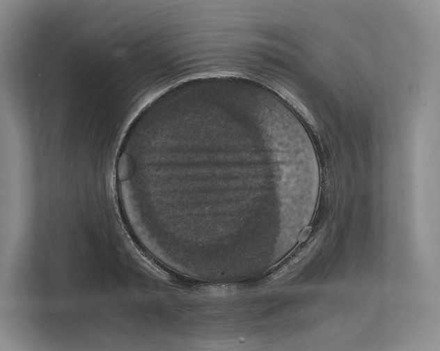 X0000111810797200908201109