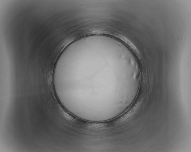 X0000111810801200908201109