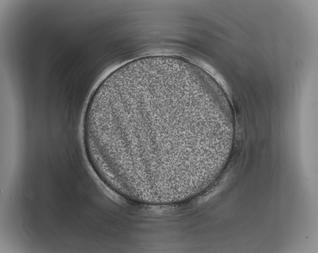 X0000111810803200908201109