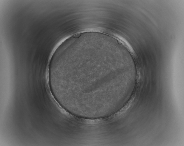 X0000111810804200908201109