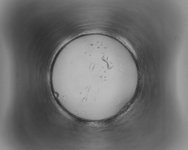 X0000111810805200908201109