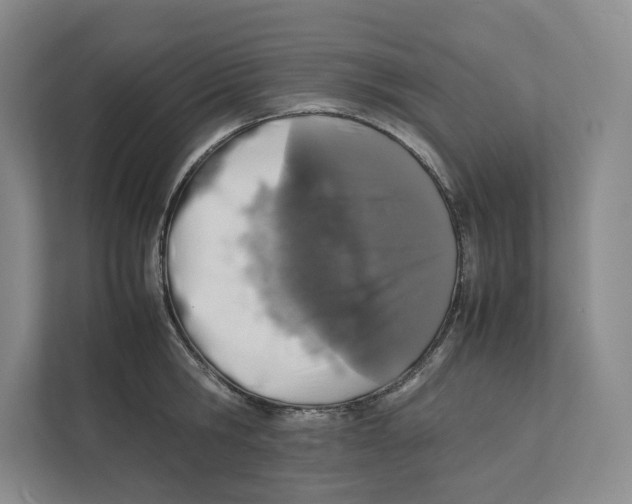 X0000111810806200908201109