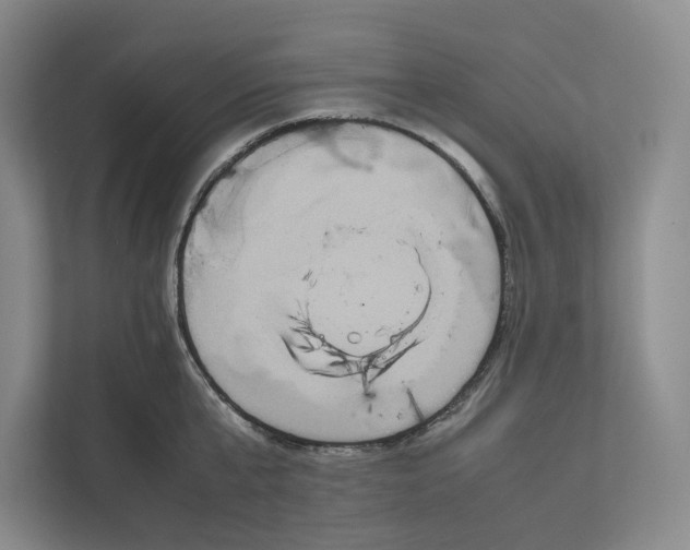 X0000111810807200908201109