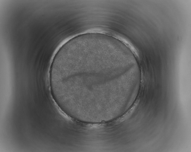 X0000111810808200908201109