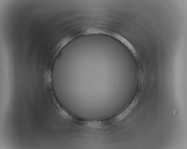 X0000111810809200908201109