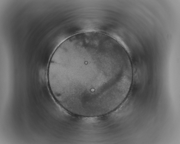 X0000111810810200908201109