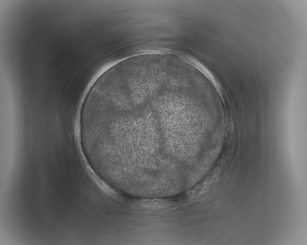 X0000111810811200908201109