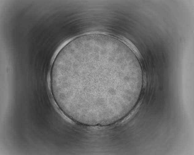 X0000111810812200908201109