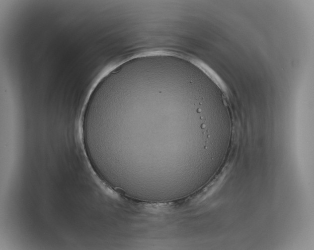 X0000111810813200908201109