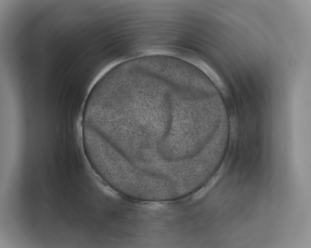 X0000111810814200908201109