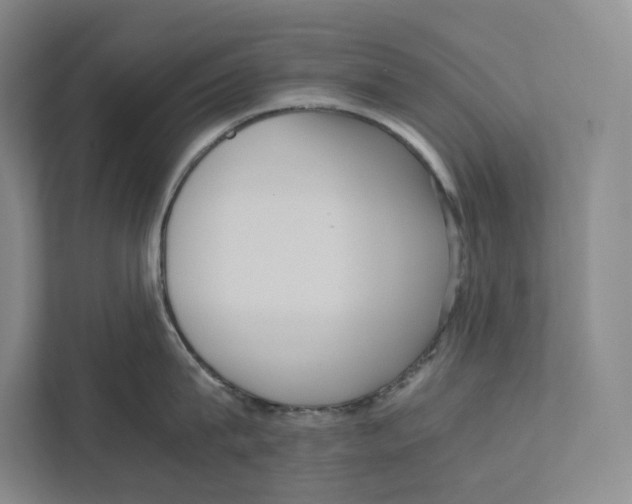 X0000111810815200908201109
