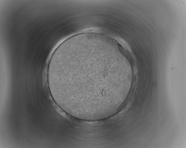 X0000111810816200908201109