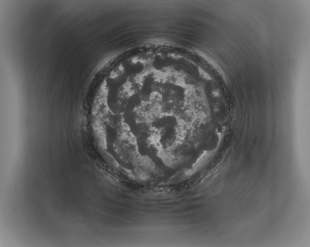 X0000111810823200908201108