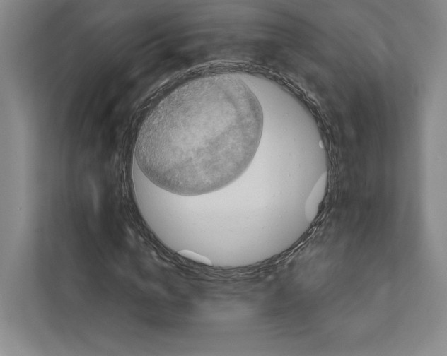 X0000111810824200908201108