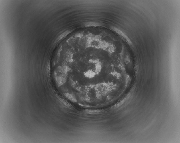 X0000111810825200908201108