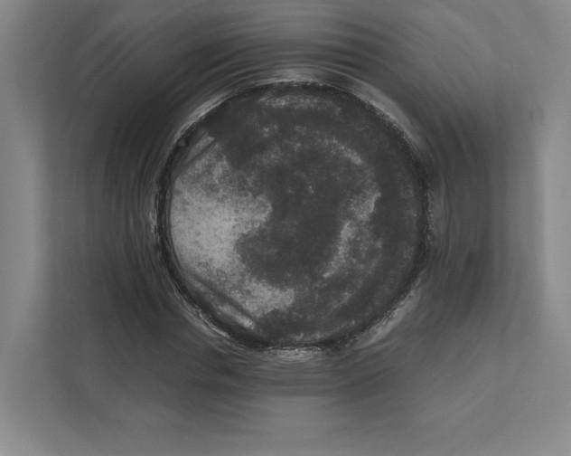 X0000111810826200908201108
