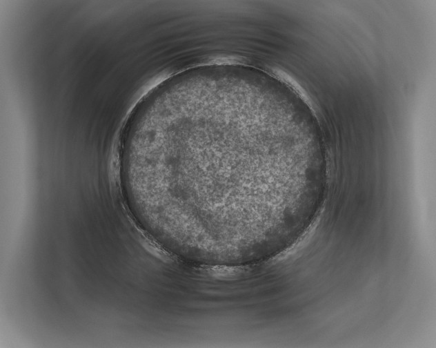 X0000111810827200908201108