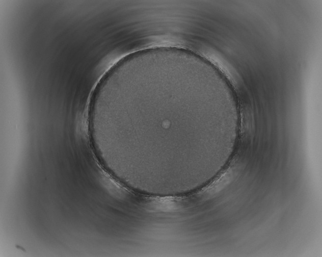 X0000111810828200908201108