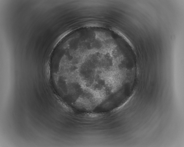 X0000111810829200908201108