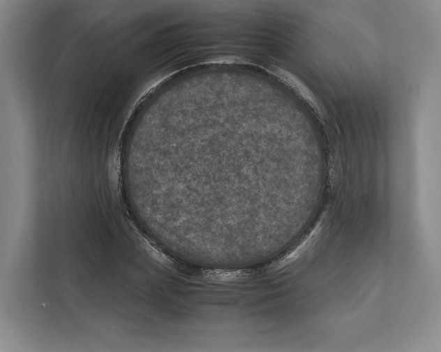 X0000111810831200908201108