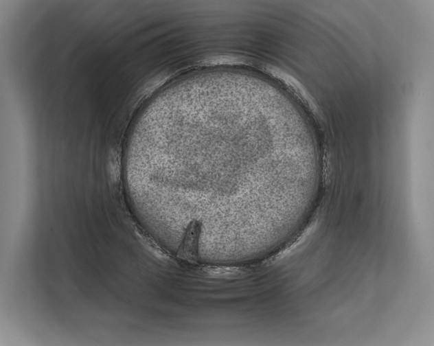 X0000111810833200908201108