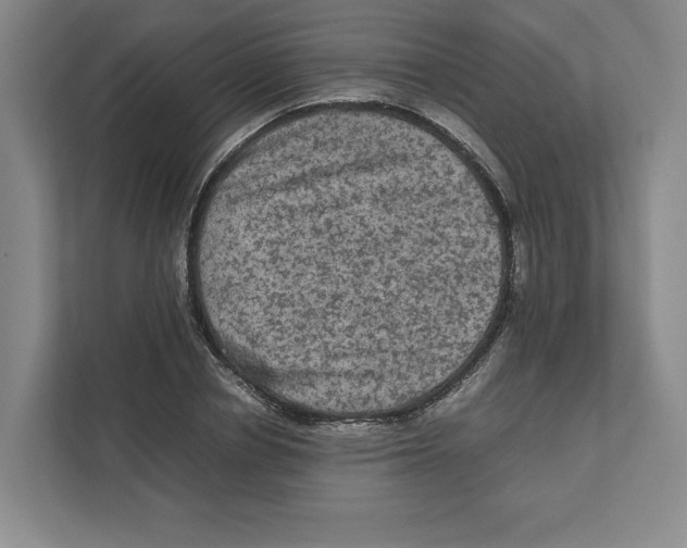 X0000111810834200908201108