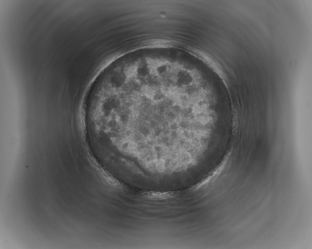 X0000111810835200908201108