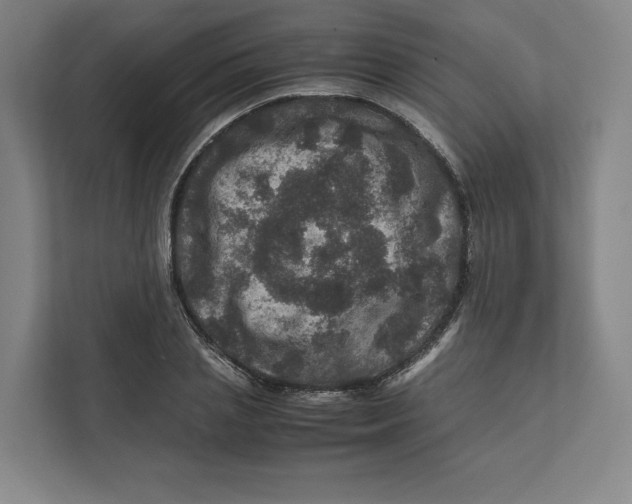 X0000111810837200908201109