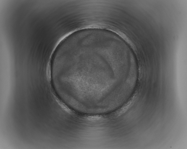 X0000111810838200908201109