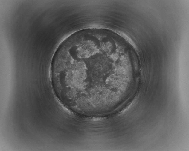 X0000111810839200908201109