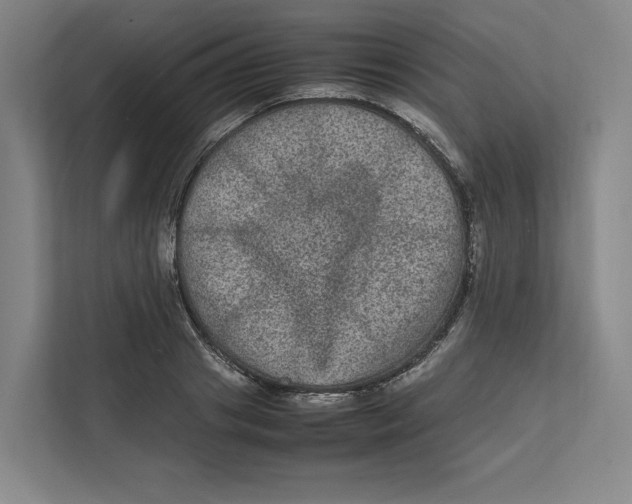 X0000111810841200908201109