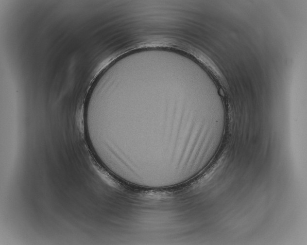 X0000111810842200908201109