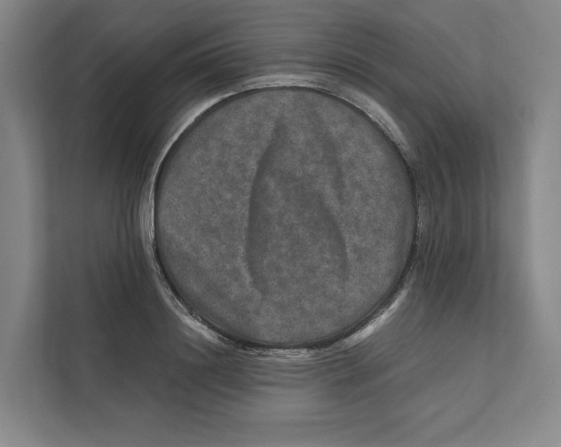 X0000111810844200908201109